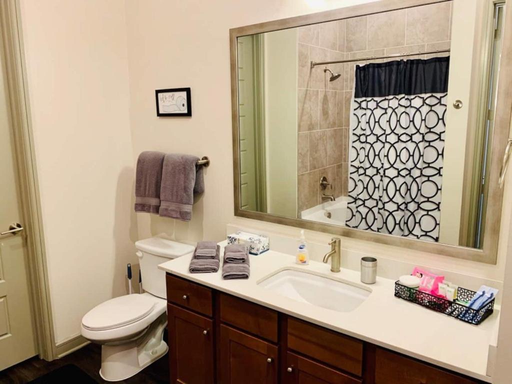Downtown Apt Free Parking - Pool - Gym - Fully Kitchen Houston Exterior foto
